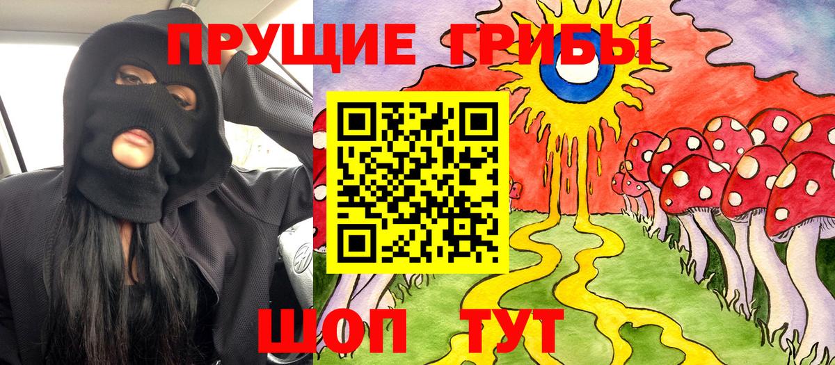 Галлюциногенные грибы ЛСД  Псилоцибиновые грибы ЛСД  Пушкино  Вход с VPN 