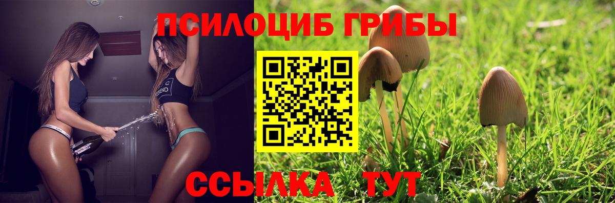 Галлюциногенные грибы GOLDEN TEACHER Пушкино